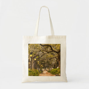 Bolsa Tote Parque de Forsyth - foto, savana, Geórgia (GA) EU