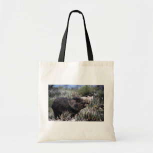 Bolsa Tote Peccary colocado um colar (javelina) que boceja