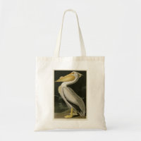 Pelicano Branco Americano, Aves da América de Audu