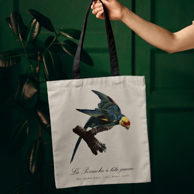 Bolsa Tote Periquito-da-carolina, Conuropsis carolinensis (Carolina parakeet, Conuropsis carolinensis. Tote Bag)