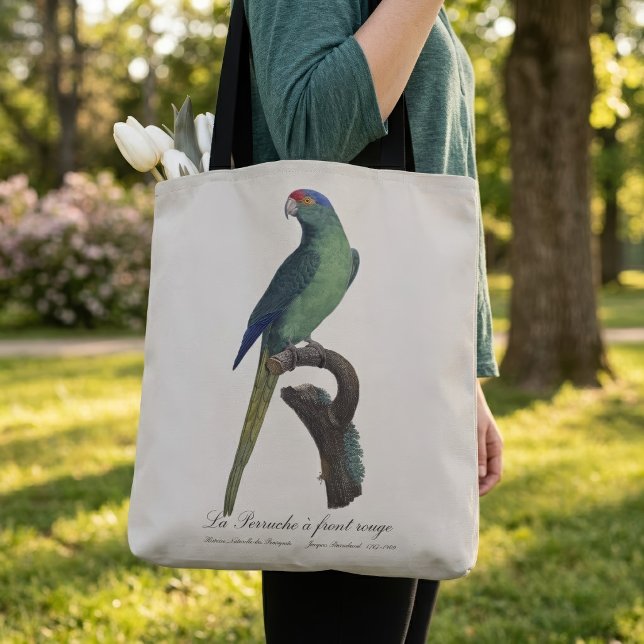 Bolsa Tote Periquito-fronte-laranja, Eupsittula Canicularis (Orange-Fronted Parakeet, Eupsittula Canicularis. Tote Bag)