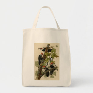 Bolsa Tote Pica-pau pileado das aves de Audubon da América