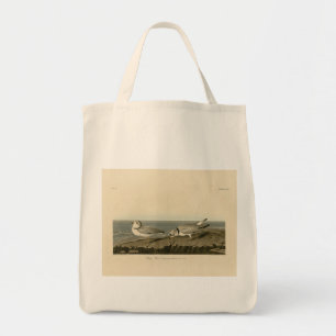 Bolsa Tote Piping Plover from Audubon's Birds of America