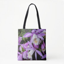 Plione Windowsill Orchids Floral