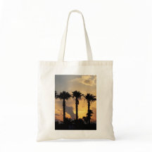 Pôr do Sol na Praia com Palmeira – Compras em Féri