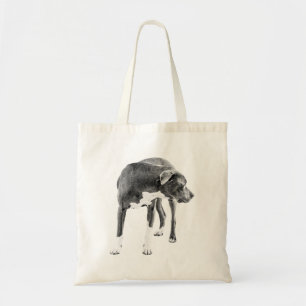 Bolsa Tote Pumpkin Row Lookback