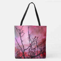 Ramificações Escuras Combustos Vermelhos E Céu Fie