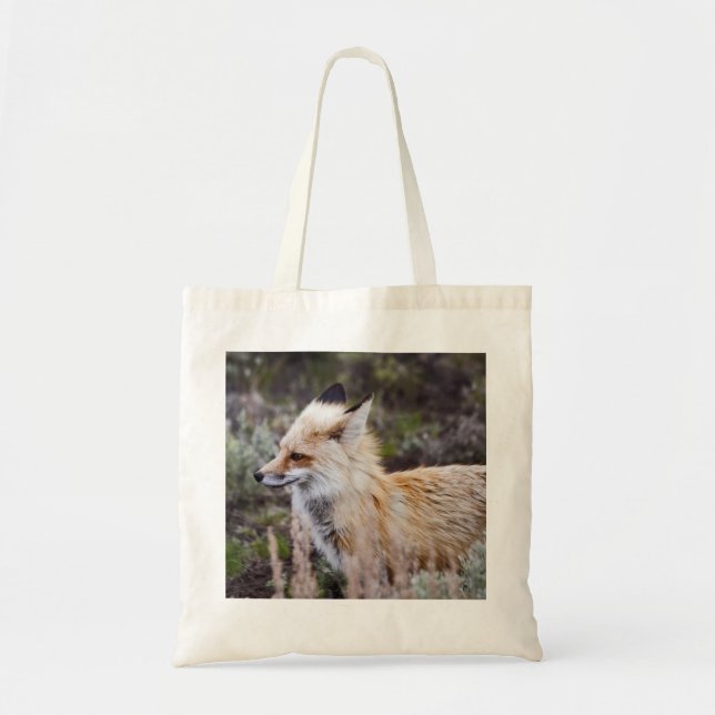 Bolsa Tote Raposa Vermelha - Saco (Frente)