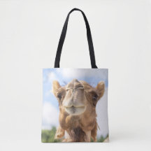 Retrato de um Camelo