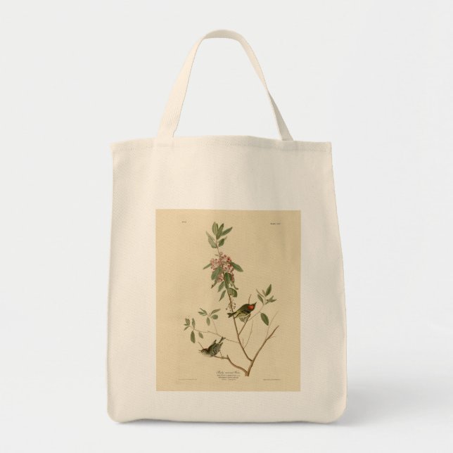 Bolsa Tote Ruby coroado Wren (Kinglet) Audubon Birds América (Frente)