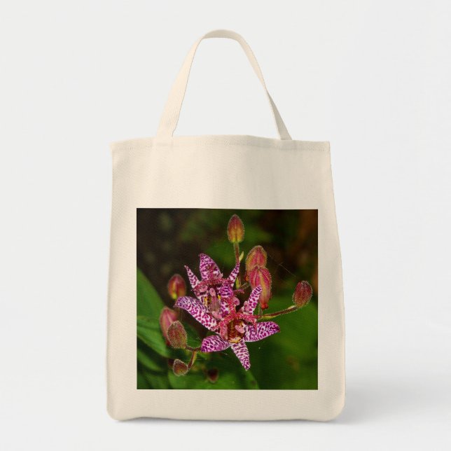 Bolsa Tote Saca de Verão Toad Lily (Frente)