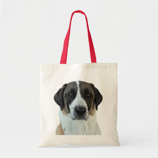 Bolsa Tote Saco Anatólogo do Cachorro