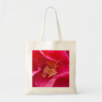 Saco cor-de-rosa da camélia