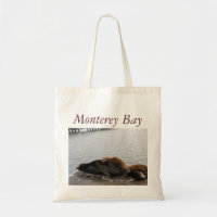Saco da baía de Monterey