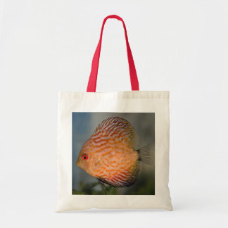 Bolsa Tote Saco de Disco de Pedra de Pombo