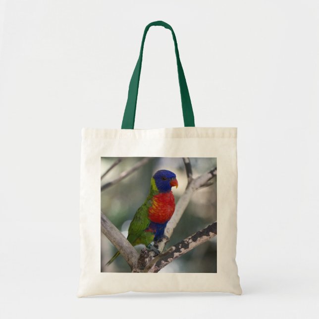 Bolsa Tote Saco de Lorikeet do arco-íris (Frente)