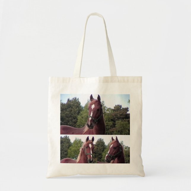 Bolsa Tote Saco de Tote de Cavalo (Frente)