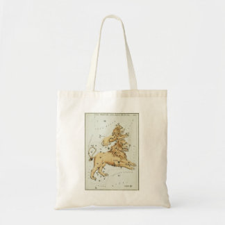 Bolsa Tote Saco de tote de Leo