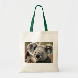 Bolsa Tote Saco do Koala