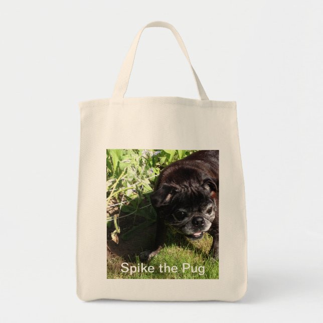 Bolsa Tote Saco do ponto (Frente)