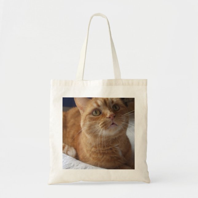 Bolsa Tote Sacola do gato do gengibre (Frente)