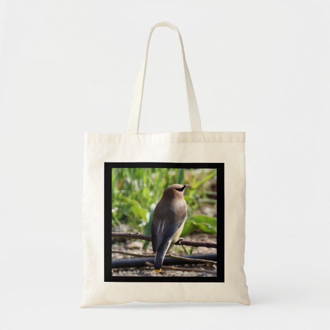 Bolsa Tote Sacola do Waxwing de cedro (Frente)