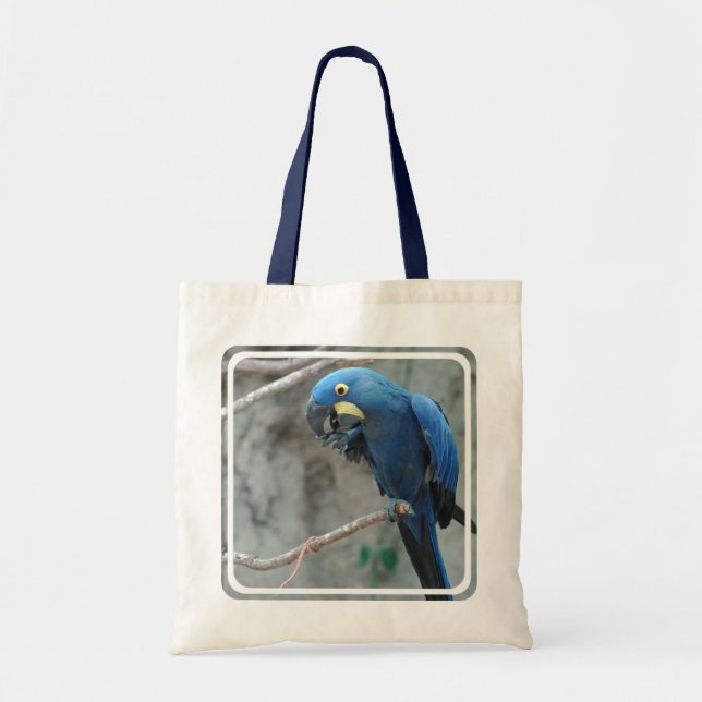 Bolsa Tote Sacola pequena do Macaw do jacinto (Frente)