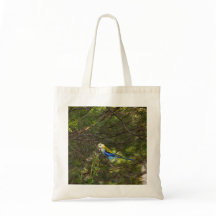Sacola Rosella de Cabeça Pálida