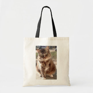Bolsa Tote Salvar um gato, salvar o planeta