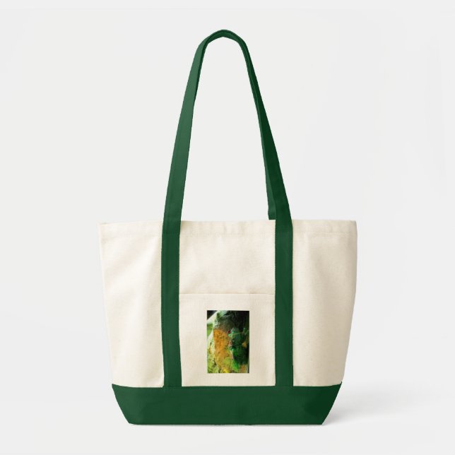 Bolsa Tote Sapo de subida CB (Frente)