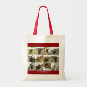 Bolsa Tote Scarab June Beetle Insetos Grande Inseto