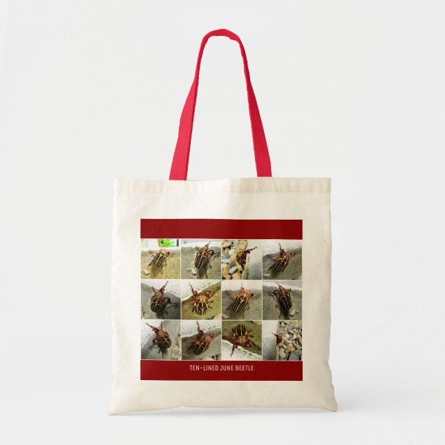 Bolsa Tote Scarab June Beetle Insetos Grande Inseto (Frente)