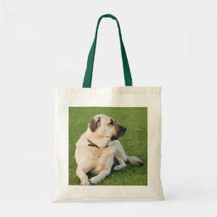 Bolsa Tote Shepherd Anatólia Relaxando em Grass