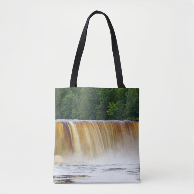 Bolsa Tote Taquamenon superior (Frente)
