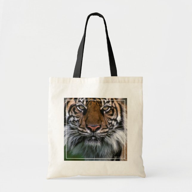 Bolsa Tote Tigre Cabeça e Face (Frente)