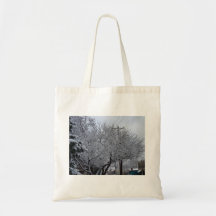 Tote Bag - Aquele inverno no Missouri