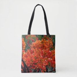 Bolsa Tote tree with magnificent red-colored flower