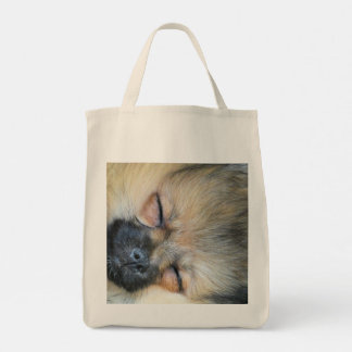 Bolsa Tote Um Pomerano Dormindo
