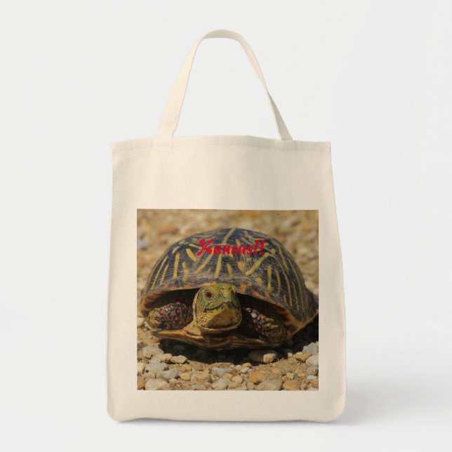 Bolsa Tote Uma caixa do Kansas Shell Turtle Tote Bag (Frente)