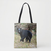 Urso Negro da Flórida