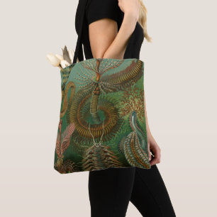 Bolsa Tote Verme Vermes Antigos Chaetopoda por Ernst Haeckel