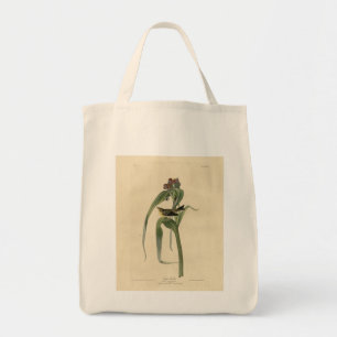 Bolsa Tote Vigors Vireo (Pine Warbler) Audubon Birds América