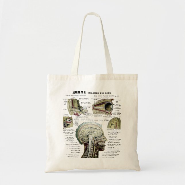 Bolsa Tote Vintage French Anatomy Bag (Frente)
