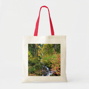 Bolsa Tote Wahkeena Falls, Columbia River Gorge, Oregon