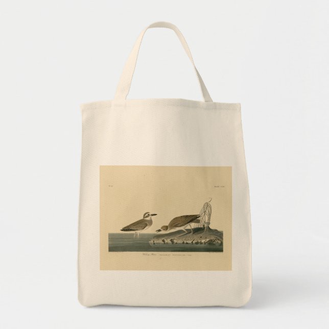 Bolsa Tote Wilson's Plover from Audubon's Birds of America (Frente)