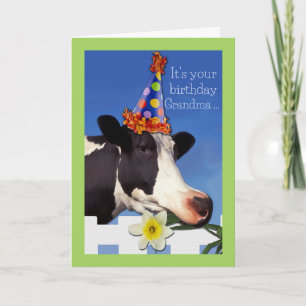 Bom aniversário para vovó com cartão de vaca engra