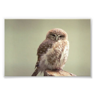 Bom dia para sua foto