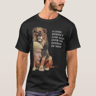 Bombardeio A Camisa Do Leão