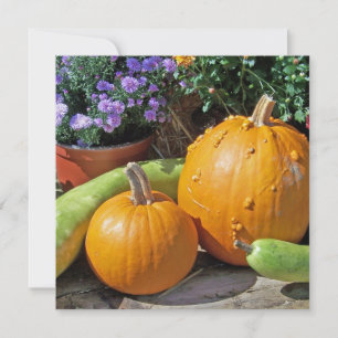 Bombas de outono e flores