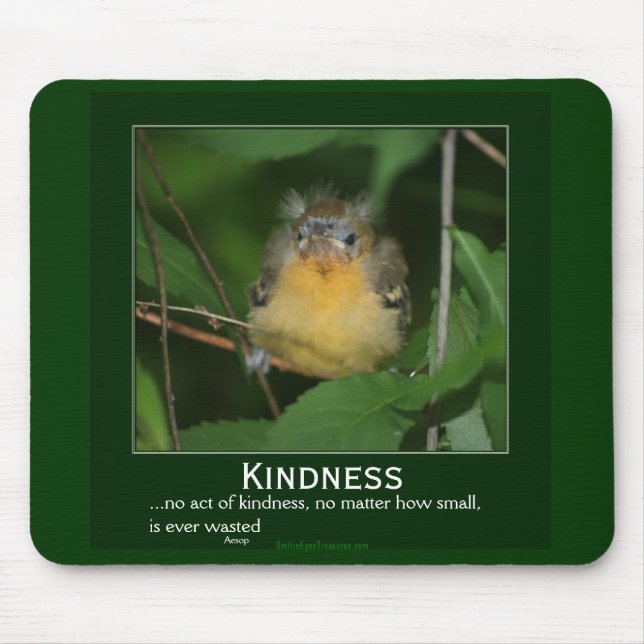 Bondade Baby Oriole Motivational Mousepad (Frente)
